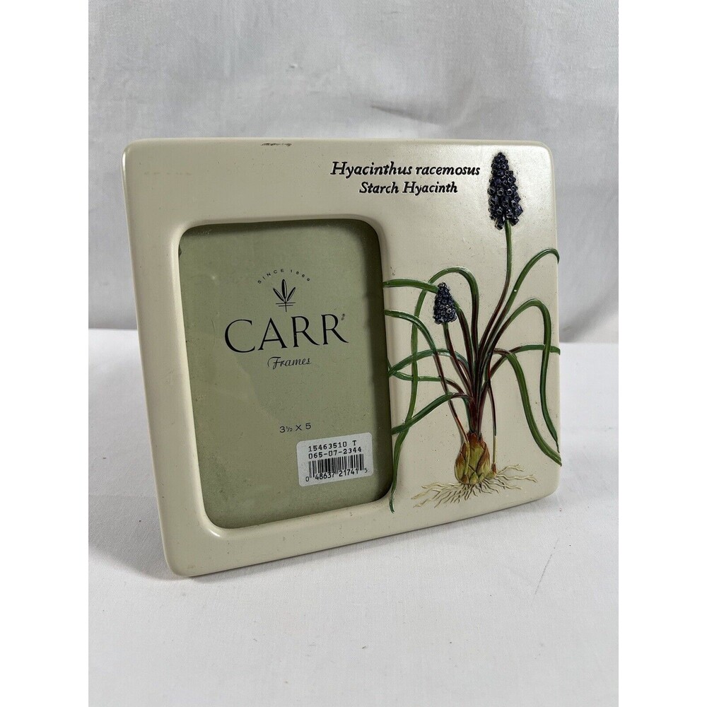 CARR Picture Frame Ceramic Botanical Garden Hyacinth Flower Bulb SPRING #175